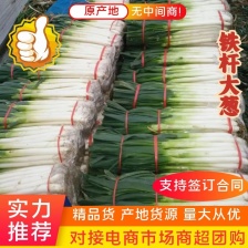 山东铁杆<font color=red>大葱</font>净葱，加工厂，代发毛葱 