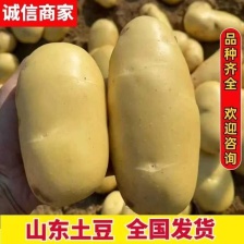 <font color=red>土豆</font>  沃土5号 中暑五号 荷兰十五