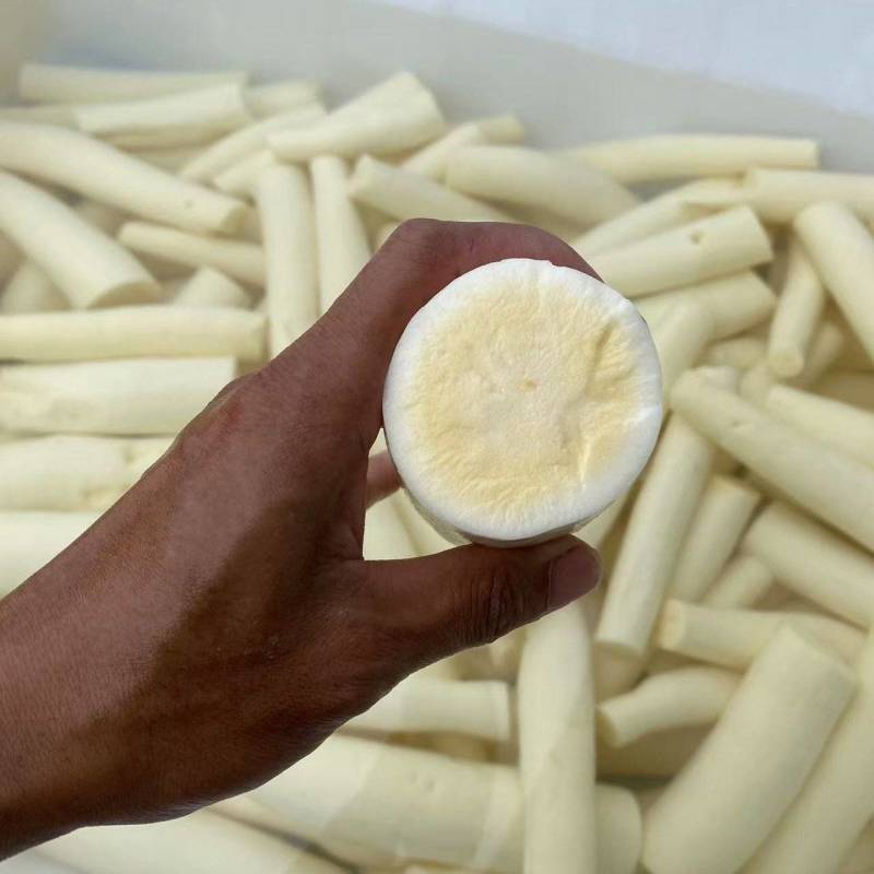 【华南9号】木薯·甜木薯·黄心木薯(可代加工 可鲜货)