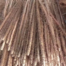 河南温县铁棍<font color=red>山药</font>价格优惠量大从质量好