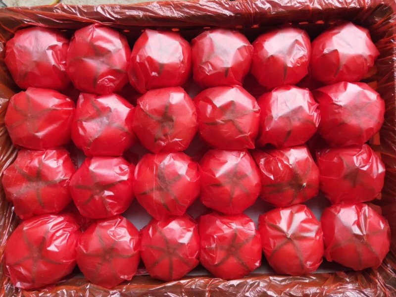 N<font color=red>西红柿</font> 大红硬果 电商货 食堂 赶