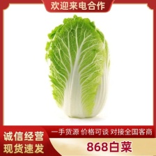 大白菜868，有要的联系