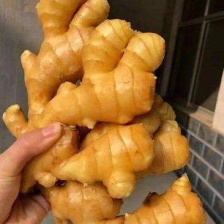 广西百色高山精品大肉姜色泽美丽，口感**，保质保量