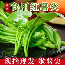 林巧慧