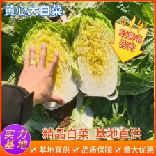 璟枫蔬菜合作社