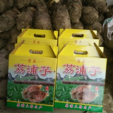 荔浦芋头 正宗新鲜真空包装荔浦芋头片芋头块  精品包装