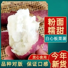 河北济薯33，适合电商.超市.诚信经营保证质量代发全国