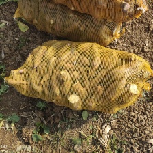 西瓜红红薯现挖现发卖相好无机械伤断头大小都有可以做箱装接电商