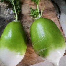 水果萝卜冰激凌萝卜潍坊潍县沙窝萝卜支持一件代发支持社团整