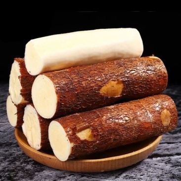 广西黄心木薯华南9号1000亩种植基地