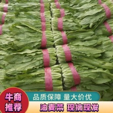 本地油麦质量好，颜色一年四季有货，价格质量保证