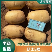 【精品<font color=red>土豆</font>】沃土5号，v7<font color=red>土豆</font> 黄皮