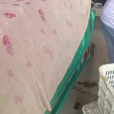 精品油麦菜 河北油麦菜 产地直发 品质保障 对接全国