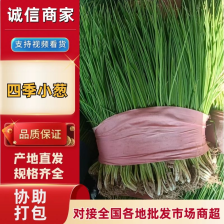 小葱，小香葱，产地直发，量大价优，有需请咨询！