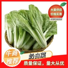奶白菜