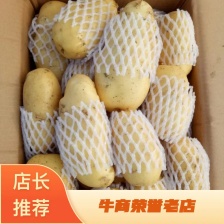 滕州大棚<font color=red>土豆</font>，大青头，四两起步。荷兰