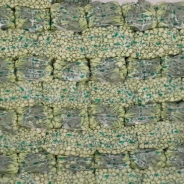 辰捷冷酷种植合作社