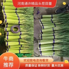 （推荐）蒜薹精品常年供货，保新鲜质量，供应超市，品质好
