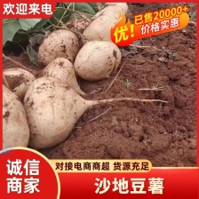 今天凉薯价格微下降哟