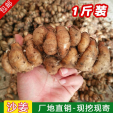 山奈 道地中药材山奈片 沙姜 火锅调料香料 保质保量包邮