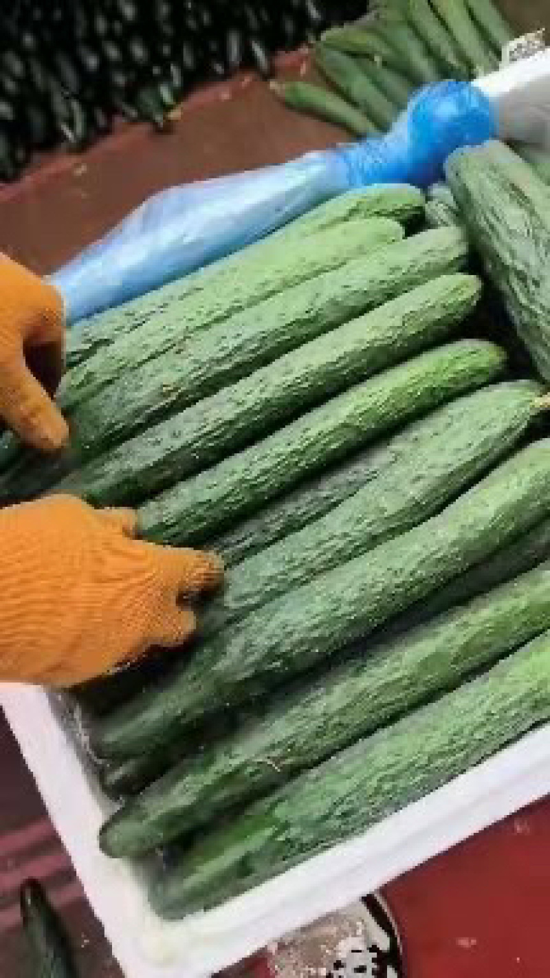 【精品优选】，密刺黄瓜，货源充足，品质保证，价格实惠，