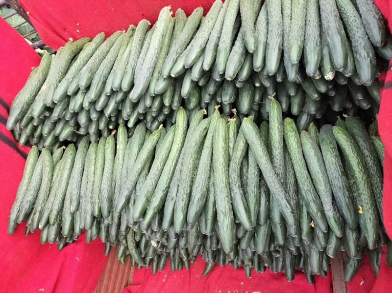 【精品优选】，密刺黄瓜，货源充足，品质保证，价格实惠，