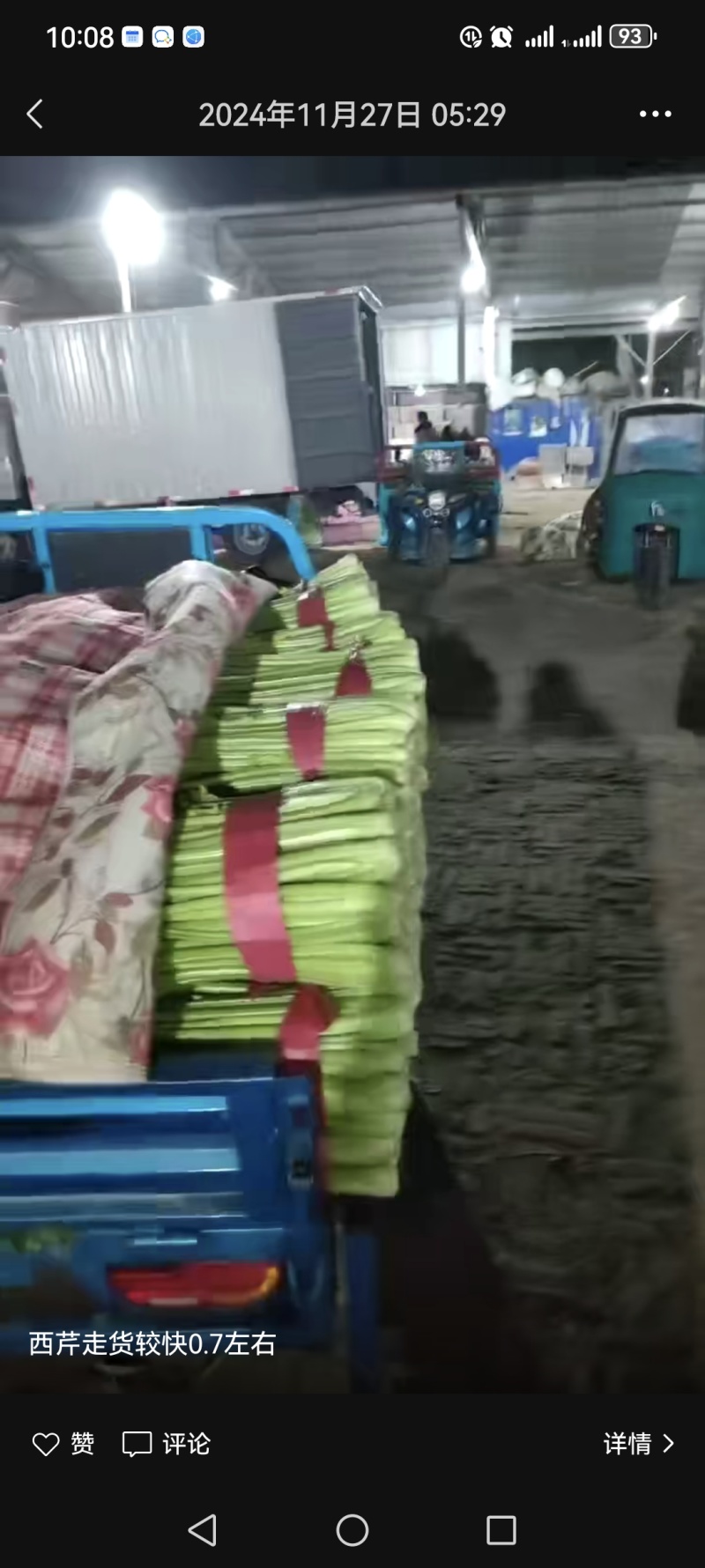 西芹一捆15斤左右，高大约1米左右，