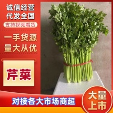 西芹一捆15斤左右，高大约1米左右，无黄叶，叶子鲜艳，绿色