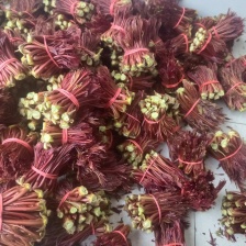 大山深处红油六号香椿芽。