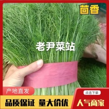 昭盛果蔬代购代销