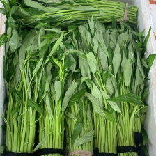 漳州市协同财供应链管理有限公司