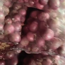 精品紫皮洋葱8-12  无根腐 无滑皮  无烂心  稳定