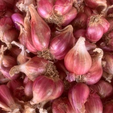 精品紫皮洋葱8-12  无根腐 无滑皮  无烂心  稳定