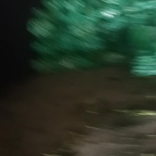 本地西芹，寿光精品西芹，优势基地，本地好芹菜