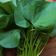 地瓜叶大量供应，产地直销，欢迎老板来合作