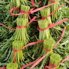 潍坊茼蒿菜潍坊产地批发，地里现割保证新鲜价格便宜