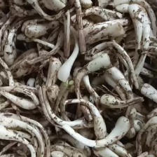 藠头 货源充足 价格实惠 有需要荞头请联系我，欢迎订购。