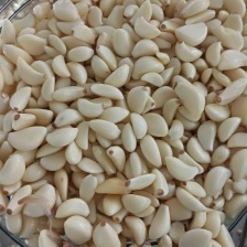 二级手工四六瓣蒜米！