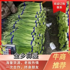 红帽蒜薹 产地直发 货源充足，常年有货，价格便宜