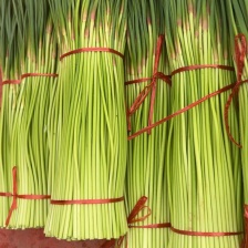 红帽蒜薹 产地直发 货源充足，常年有货，价格便宜