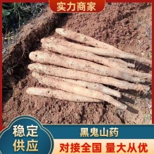 河北新鲜小白嘴白山药软糯当季产地农家种植各种规格可定做