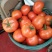 <font color=red>西红柿</font> 山东大红硬粉<font color=red>西红柿</font> 产地一手