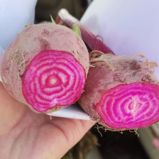 徐州市红甜菜基地  红甜菜市场加工厂常年供应