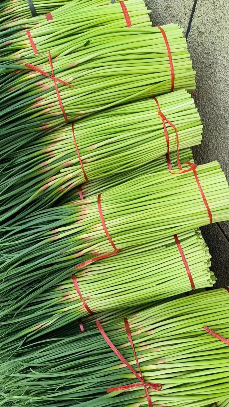 四季共赢蔬菜水果商行