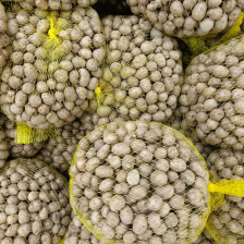 新泰市伟圣农业