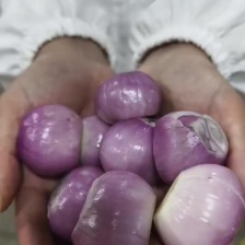 绿家园瓜果蔬菜农产品