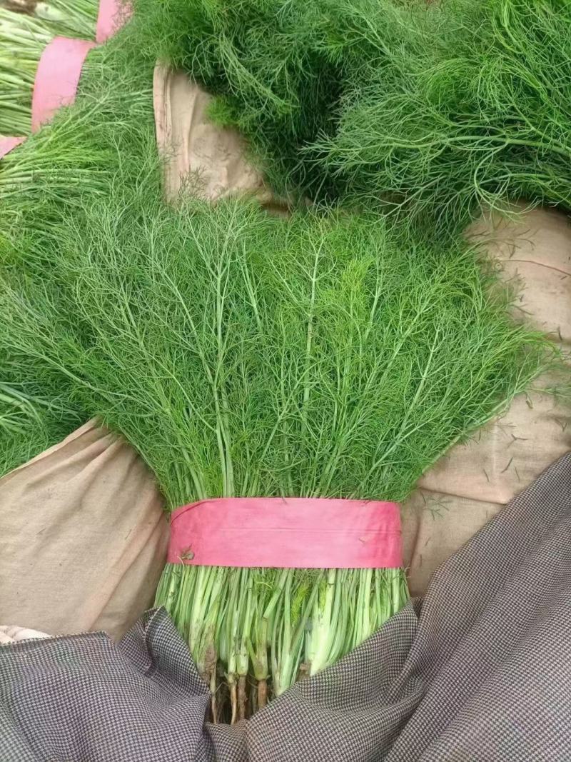 小茴香 河北小茴香 品质好价格低 商超配车 社区团购