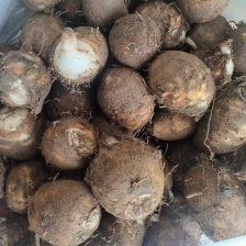 精品芋头母，软糯香甜，按需包装，欢迎咨询