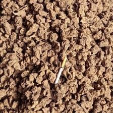 洋姜鬼子姜菊芋千亩基地上市一手货源，专业对接各类资源。诚