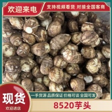 芋头，牛奶芋头芋头种子产地大量有货全国批发保质保量